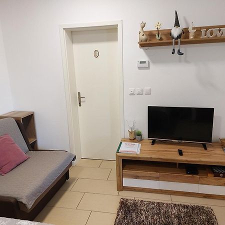 Apartments Alexandra Celje Bagian luar foto